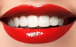 动漫人物将机机插曲漫画小说